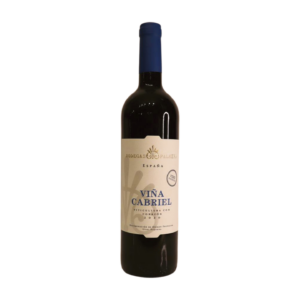 Bodegas Palmera 2020 Vina Cabriel